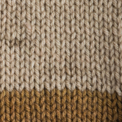 Bernat Super Value Stripes Yarn - Discontinued Shades Beachwood Stripes