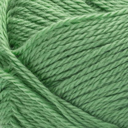 Bernat Softee Baby Yarn - Discontinued Shades Green