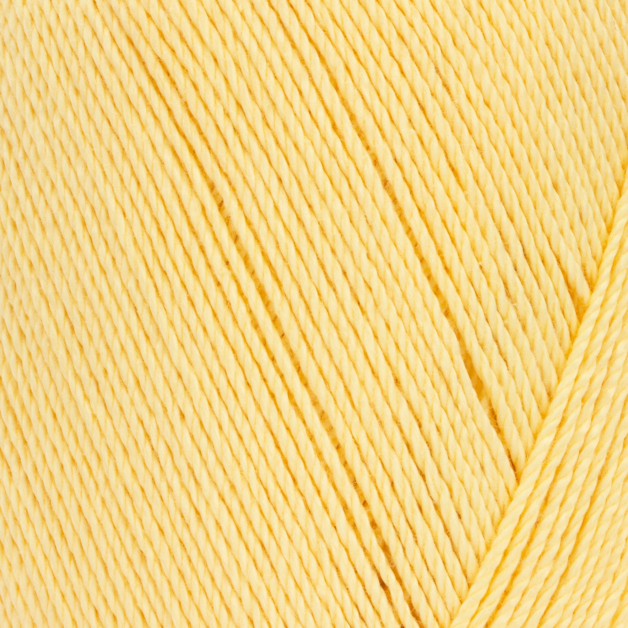 Maize