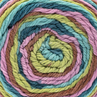 Caron Anniversary Cakes Yarn (1000g/35.3oz) - Discontinued Shades Wild Flowers