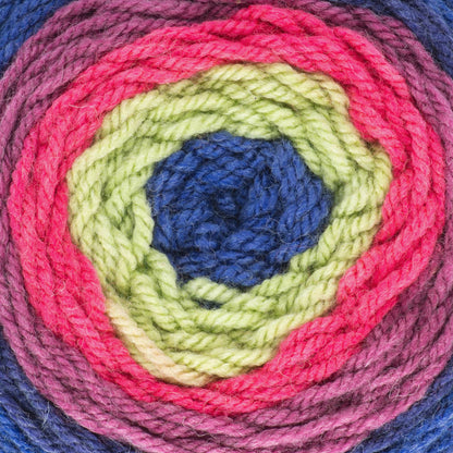 Caron Cakes Yarn - Discontinued Shades Berry Lime