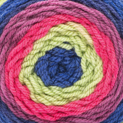 Caron Cakes Yarn - Discontinued Shades Berry Lime