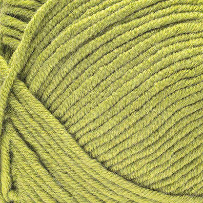 Caron Simply Me Yarn (160g/5.64oz) Olive Quartz