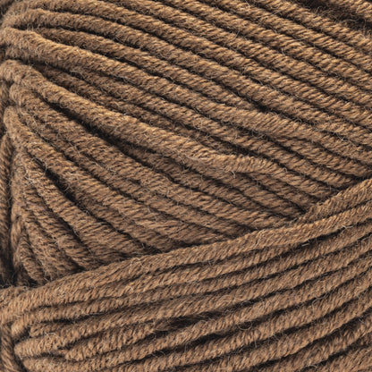 Caron Simply Me Yarn (160g/5.64oz) Bronzite