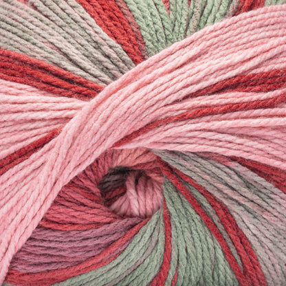 Caron Anniversary Cakes Yarn Special Edition (1000g/35.3oz) - Retailer Exclusive Holly Jolly