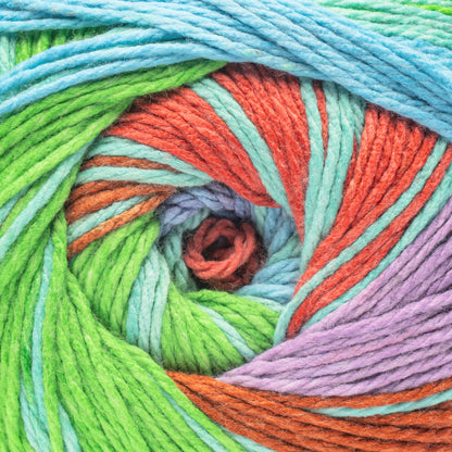 Caron Anniversary Cakes Yarn Special Edition (1000g/35.3oz) - Retailer Exclusive Merry Maximus