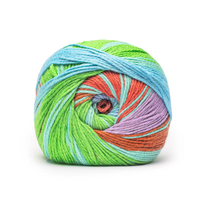 Caron Anniversary Cakes Yarn Special Edition (1000g/35.3oz) - Retailer Exclusive Merry Maximus