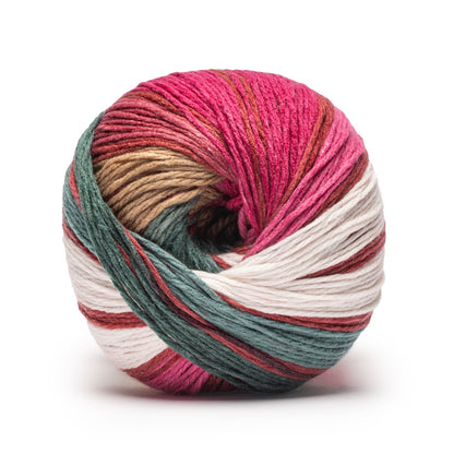 Caron Anniversary Cakes Yarn Special Edition (1000g/35.3oz) Wrapped In Joy