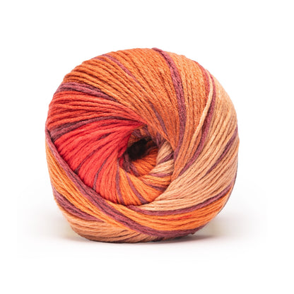 Caron Anniversary Cakes Yarn Special Edition (1000g/35.3oz) Fireside