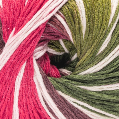 Caron Anniversary Cakes Yarn Special Edition (1000g/35.3oz) Bough & Berry