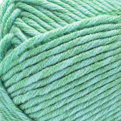 Caron Simply Me Montage Yarn (140g/5oz) Jasper