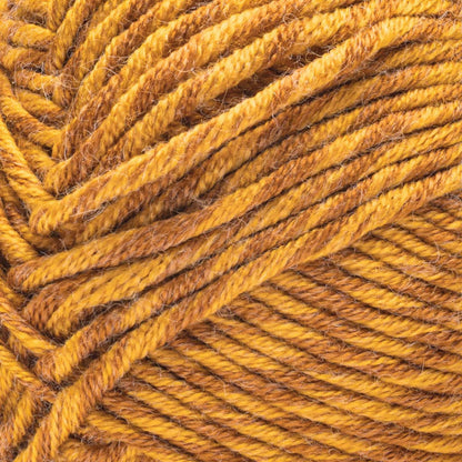 Caron Simply Me Montage Yarn (140g/5oz) Tigers Eye