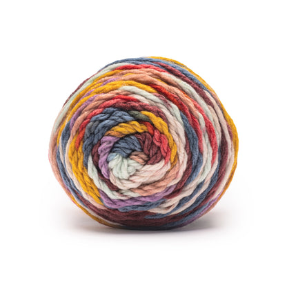 Caron Slice of Anniversary Cake Yarn (250g/8.8 oz) - Retailer Exclusive Book Club
