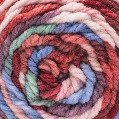 Caron Slice of Anniversary Cake Yarn (250g/8.8 oz) - Retailer Exclusive Playgroup