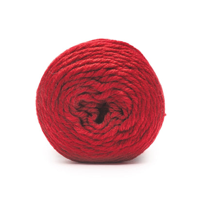 Caron Slice of Anniversary Cake Yarn (250g/8.8 oz) - Retailer Exclusive Cherry