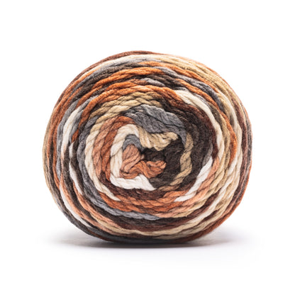 Caron Slice of Anniversary Cake Yarn (250g/8.8 oz) Birch Bark