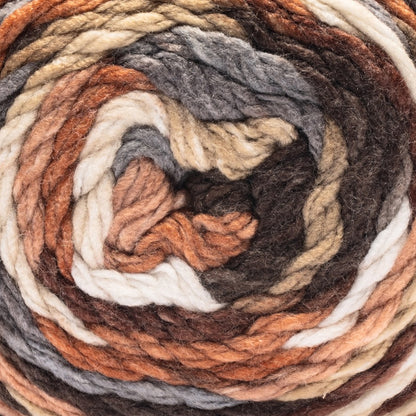 Caron Slice of Anniversary Cake Yarn (250g/8.8 oz) Birch Bark