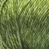 Avocado Tonal