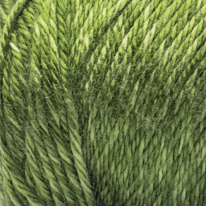 Caron Simply Soft Sunkissed Yarn (141g/5oz) Avocado Tonal