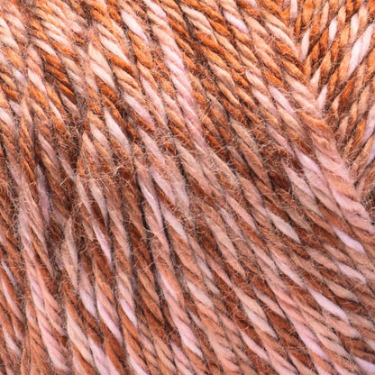 Caron Simply Soft Sunkissed Yarn (141g/5oz) Fig Tonal
