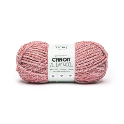 Caron All Day Wool Yarn (170g/6oz) Rose Garden