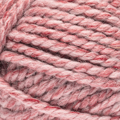Caron All Day Wool Yarn (170g/6oz) Rose Garden