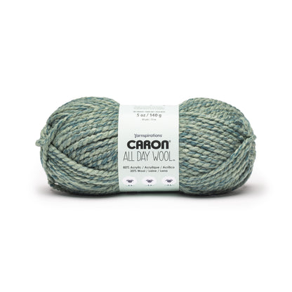 Caron All Day Wool Yarn (170g/6oz) Maritime