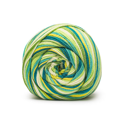 Caron Anniversary Cakes Yarn (1000g/35.3oz) - Retailer Exclusive Green Flash