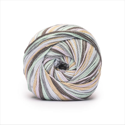 Caron Anniversary Cakes Yarn (1000g/35.3oz) - Retailer Exclusive Cookie Mint