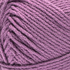 Lavender Fields