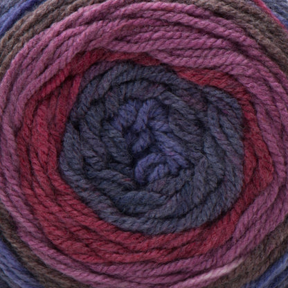 Caron Cakes Yarn - Discontinued Shades Blackberry Mousse