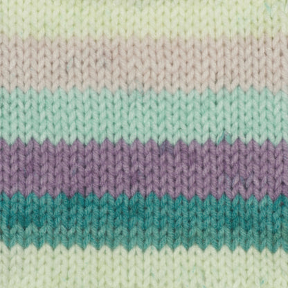 Caron Big Cakes Yarn - Discontinued Shades Boysenberry