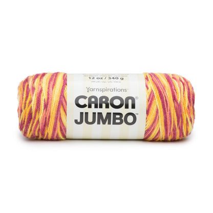Caron Jumbo Yarn - Discontinued Shades Citrus Slice