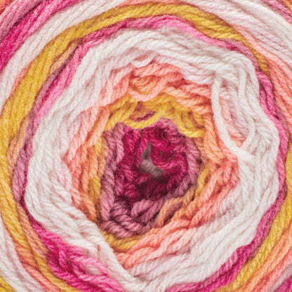 Caron Skinny Cakes Yarn - Retailer Exclusive Fruit Punch