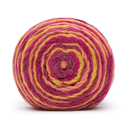 Caron Anniversary Cakes Yarn (1000g/35.3oz) Raspberries Jubilee