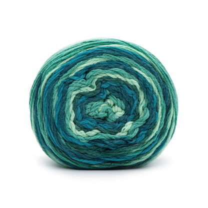 Caron Anniversary Cakes Yarn (1000g/35.3oz) - Discontinued Shades Monstera