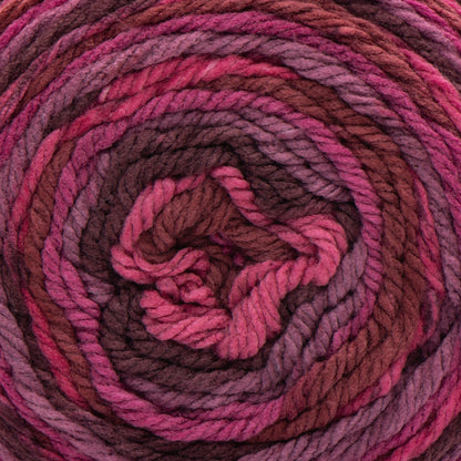 Caron Anniversary Cakes Yarn (1000g/35.3oz) - Discontinued Shades Sour Cherry