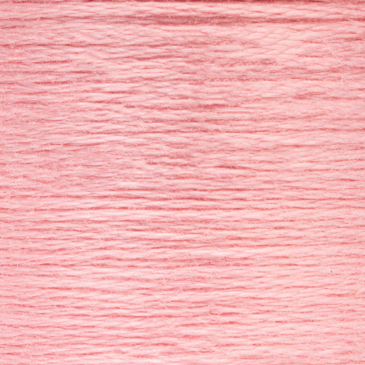 0024 Carnation Very Light