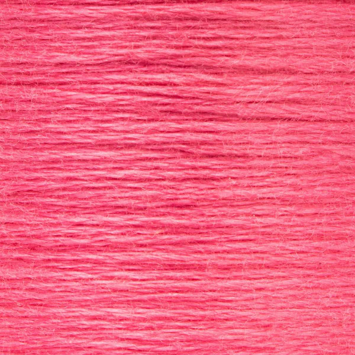 0027 Carnation Medium