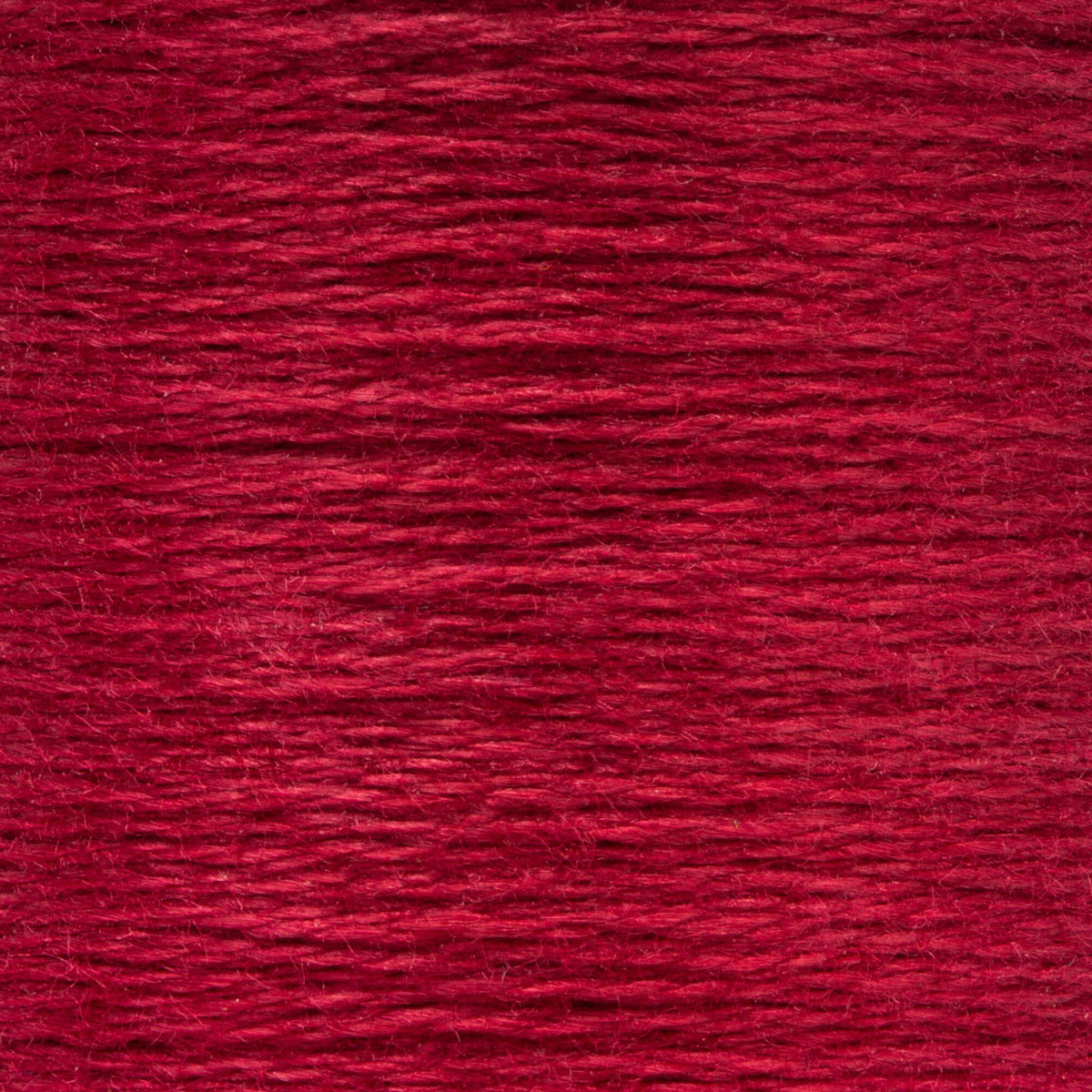 0043 Carmine Rose Mediumium Dark