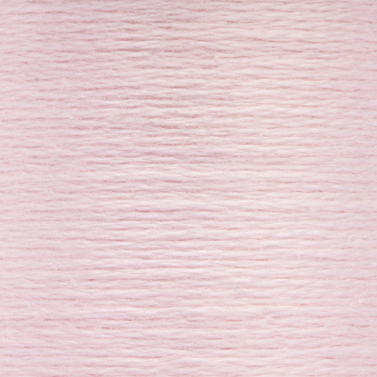 0048 China Rose Very Light