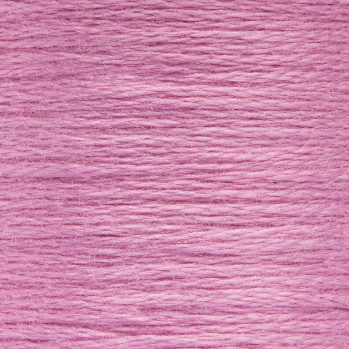 0066 Raspberry Light