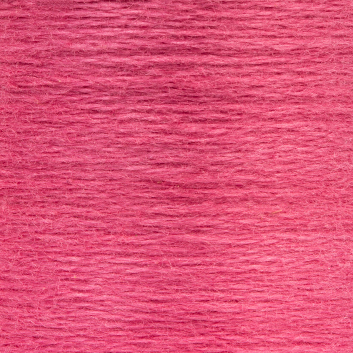 0076 Antique Rose Medium