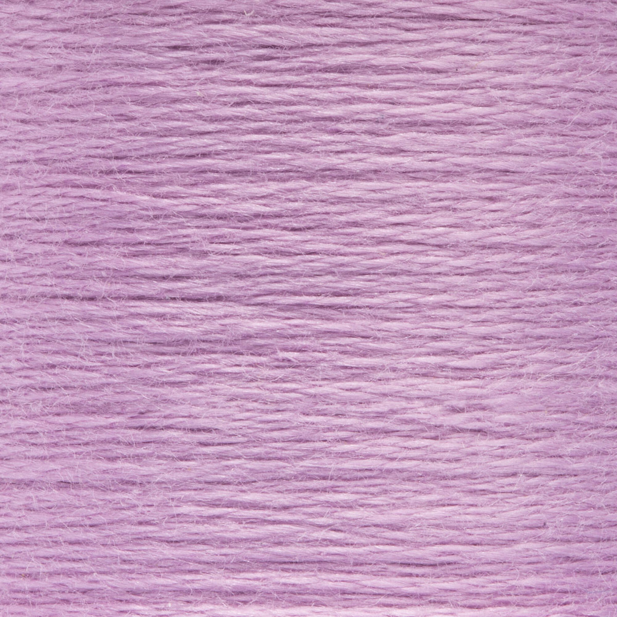 0090 Plum Light