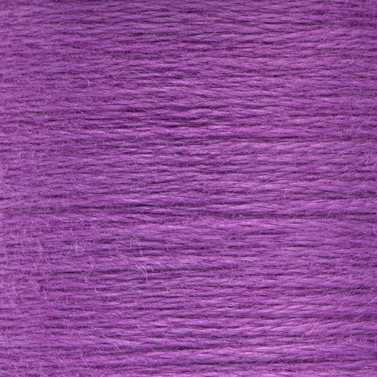 0092 Plum Medium