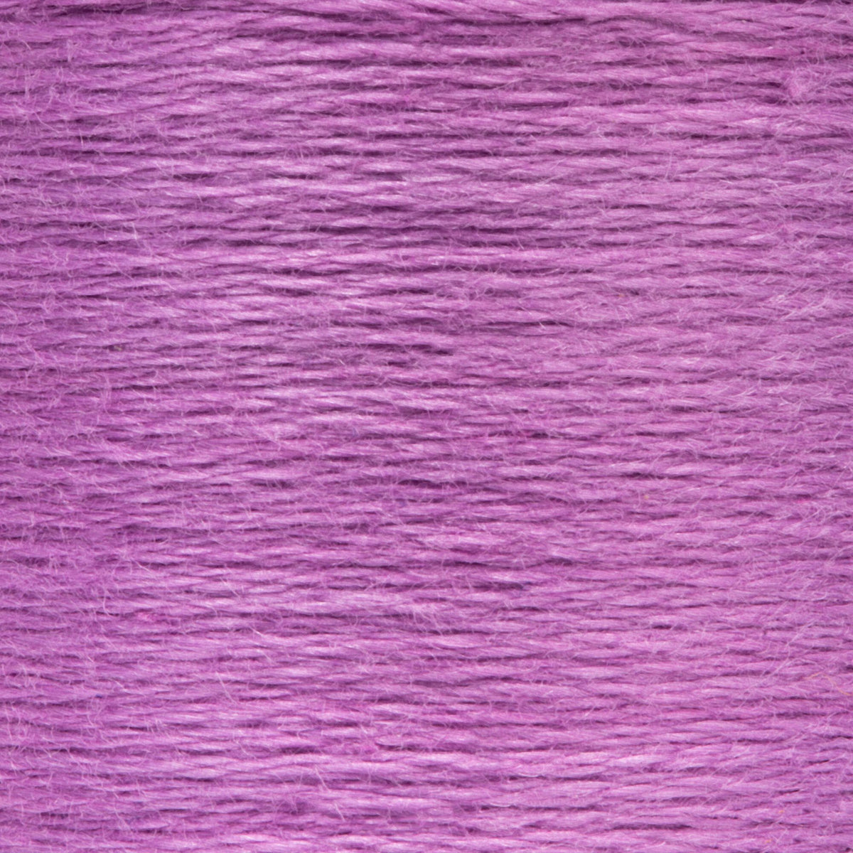 0097 Violet Medium Light