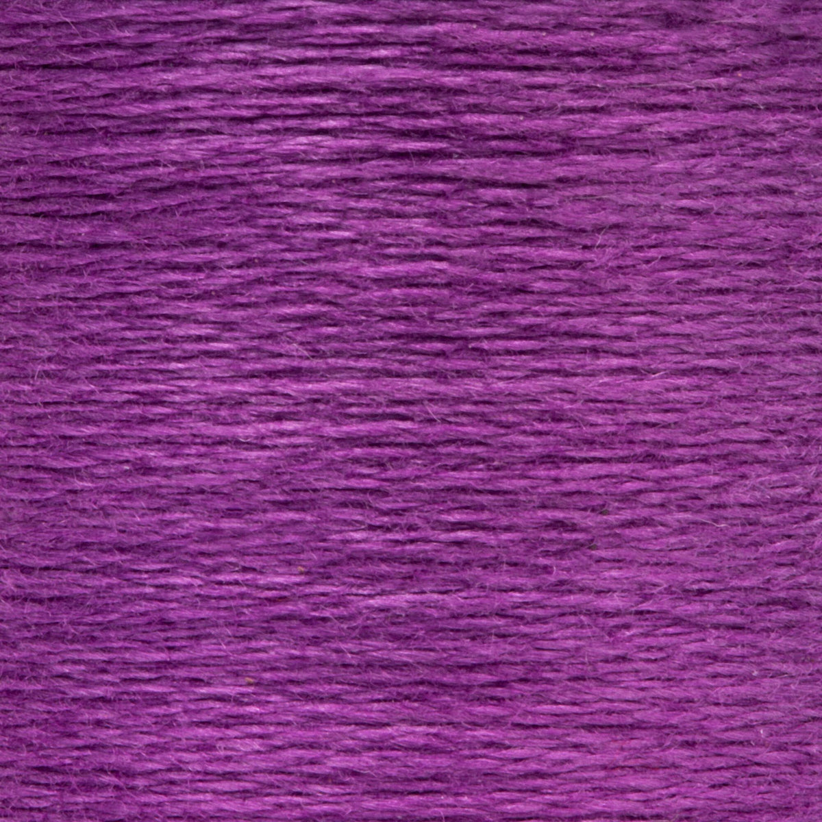 0100 Violet Medium Dark