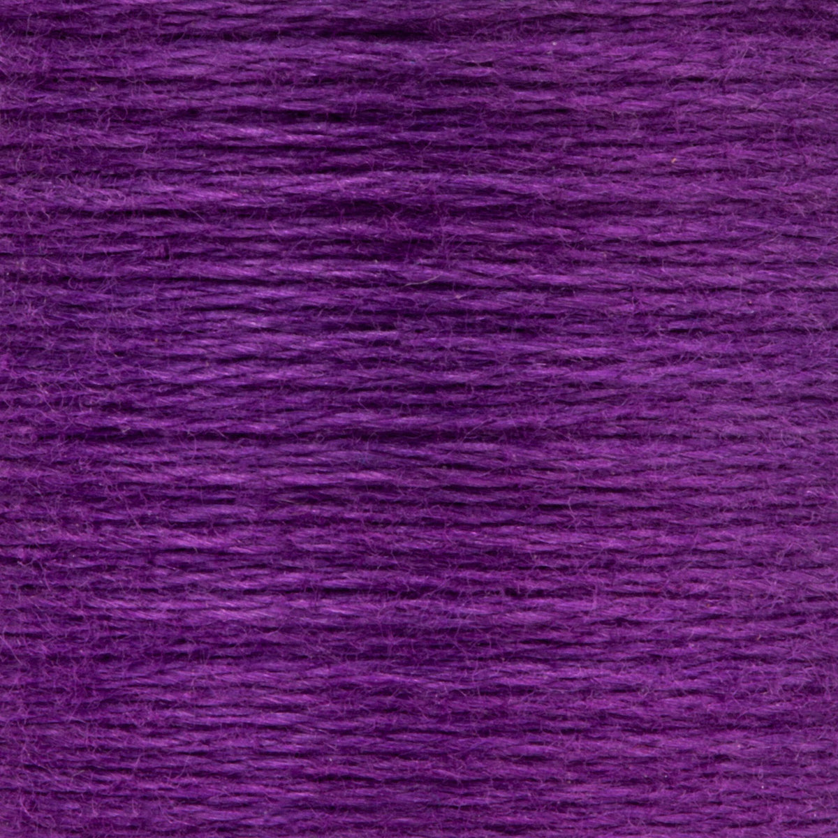 0101 Violet Dark