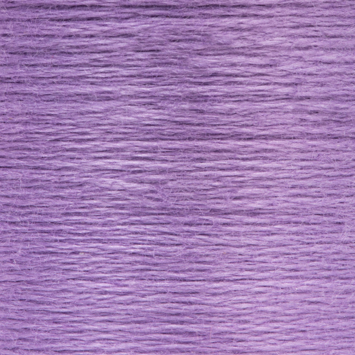0109 Lavender Medium Light