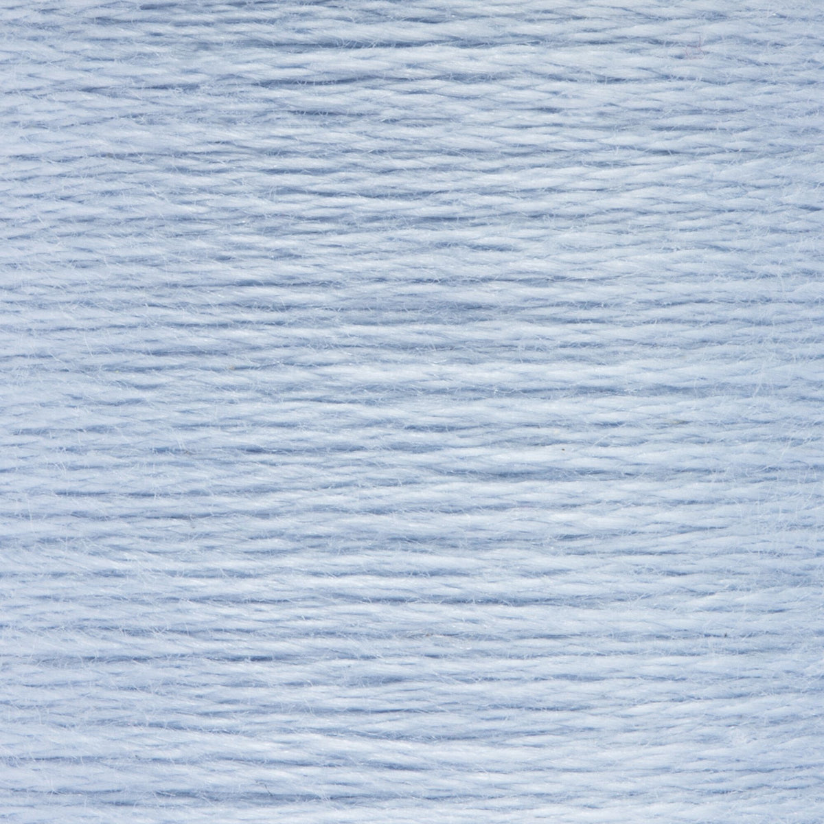 0120 Blueberry Light